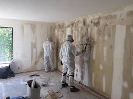 Best Industrial Mold Remediation in Plumas Lake, CA